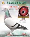 图片暂时未上传