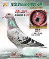 图片暂时未上传