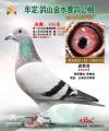 图片暂时未上传