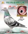 图片暂时未上传