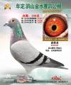 图片暂时未上传
