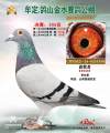 图片暂时未上传