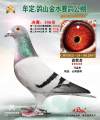 图片暂时未上传