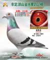 图片暂时未上传