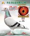 图片暂时未上传