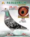 图片暂时未上传
