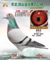 图片暂时未上传