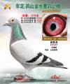 图片暂时未上传