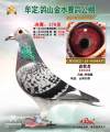 图片暂时未上传
