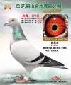 图片暂时未上传