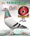 图片暂时未上传