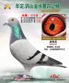 图片暂时未上传