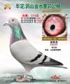 图片暂时未上传