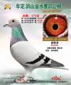 图片暂时未上传