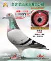 图片暂时未上传