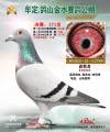 图片暂时未上传