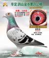 图片暂时未上传
