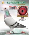 图片暂时未上传