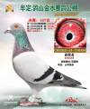 图片暂时未上传