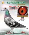 图片暂时未上传