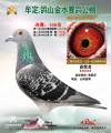 图片暂时未上传