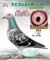 图片暂时未上传