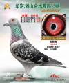 图片暂时未上传