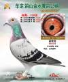 图片暂时未上传