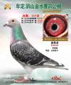 图片暂时未上传