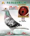 图片暂时未上传