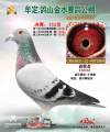 图片暂时未上传