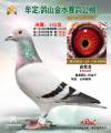 图片暂时未上传