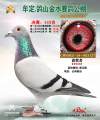 图片暂时未上传