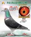 图片暂时未上传