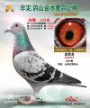 图片暂时未上传