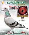 图片暂时未上传