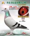 图片暂时未上传