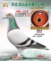 图片暂时未上传