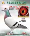 图片暂时未上传