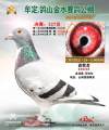 图片暂时未上传