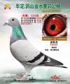 图片暂时未上传