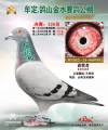 图片暂时未上传