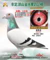 图片暂时未上传