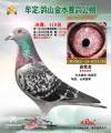 图片暂时未上传