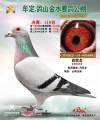 图片暂时未上传