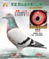 图片暂时未上传