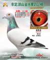 图片暂时未上传