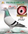 图片暂时未上传