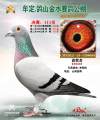 图片暂时未上传