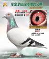 图片暂时未上传